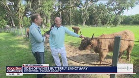 Eden of Wings Butterfly Sanctuary in Enterprise
