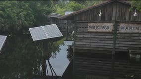 Woman hospitalized after otter attack