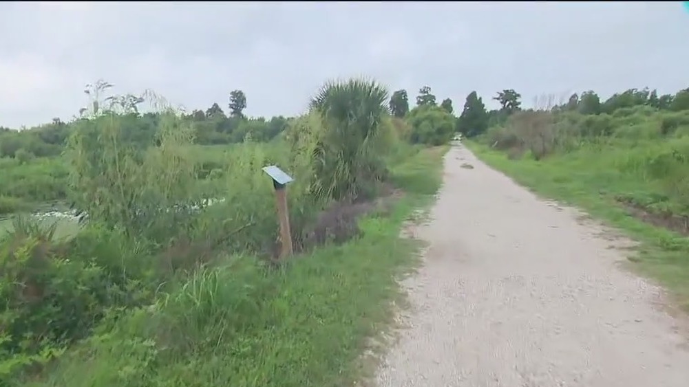 See big alligators at the Circle B Bar Reserve