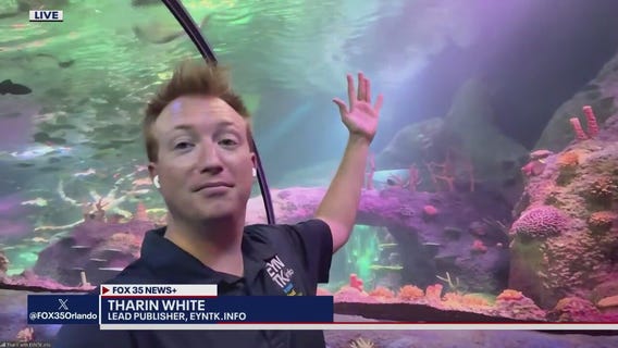 New LegoLand aquarium, SeaWorld drone show