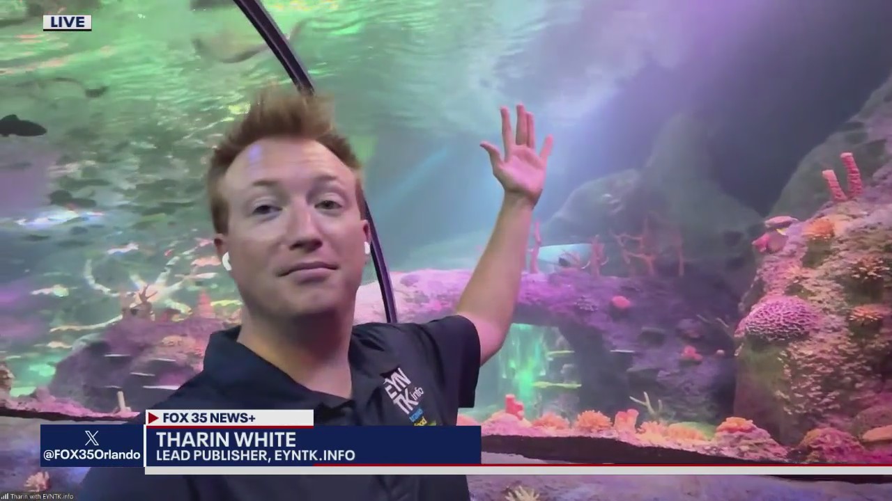 New LegoLand aquarium, SeaWorld drone show