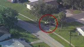 Osceola County hit-and-run crash