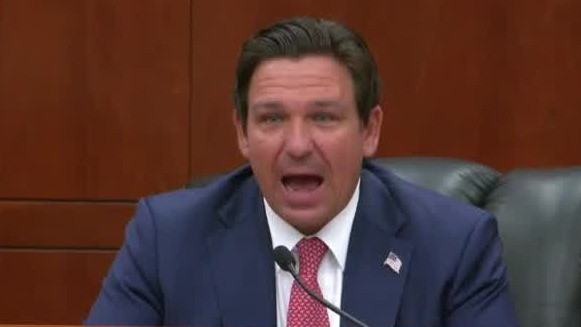 Gov. DeSantis slams anti-ICE protests
