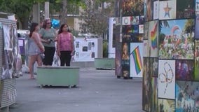 Pulse tours offered this week