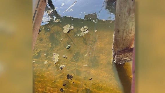 Sewage concerns continue in Palm Bay