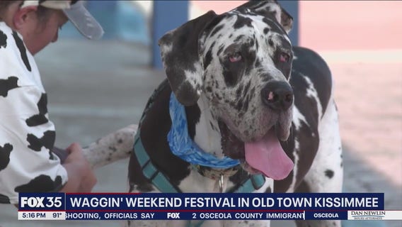 Waggin' Weekend Festival in Old Town Kissimmee