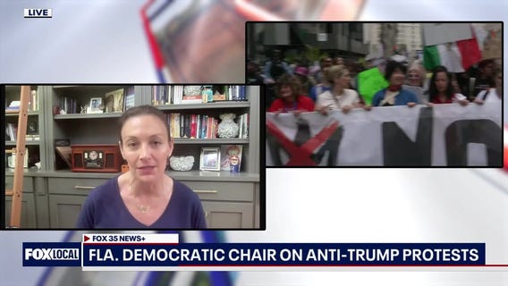 Democrat reaction to anti-Trump protests