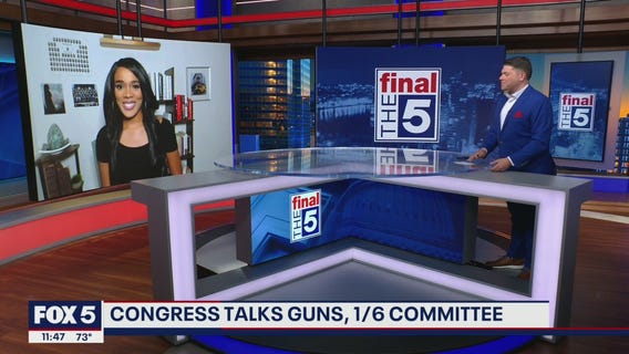 Will Dems find compromise on gun laws?