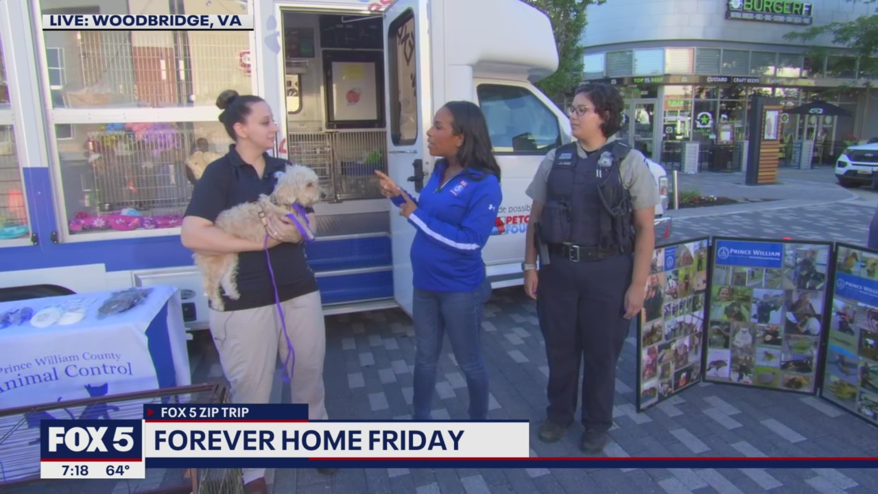 FOX 5 Zip Trip Woodbridge: Forever Home Friday