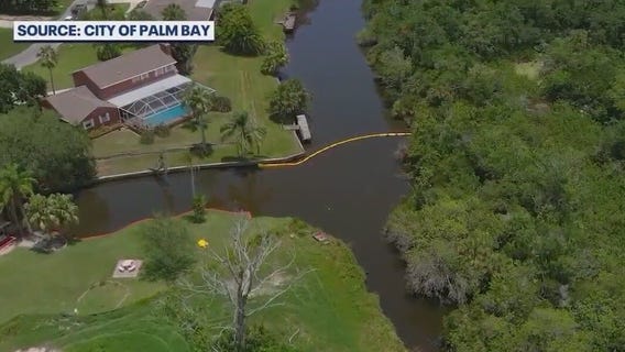 Palm Bay residents demand answers after sewage spill