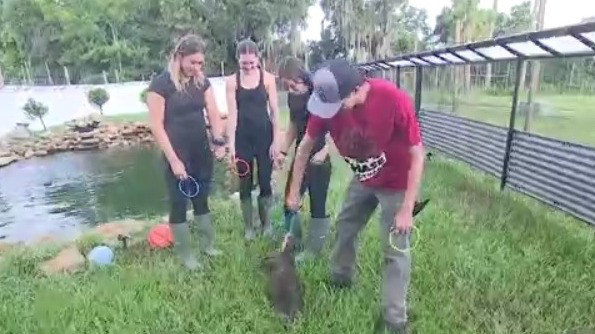 New wildlife experiences at Chase Sanctuary