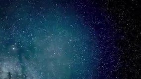 Kissimmee Prairie Preservation State Park