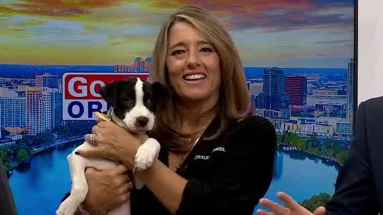 Adopt-A-Pet: Meet Zeus