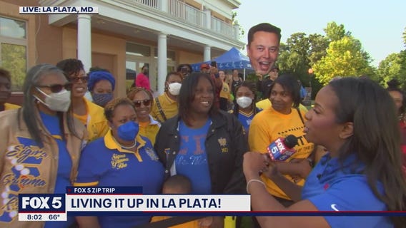 FOX 5 Zip Trip La Plata: Celebrating the spirit of La Plata!