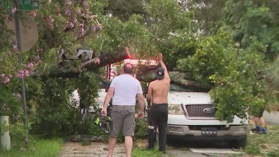 Lightning strike topples tree onto truck, trapping man
