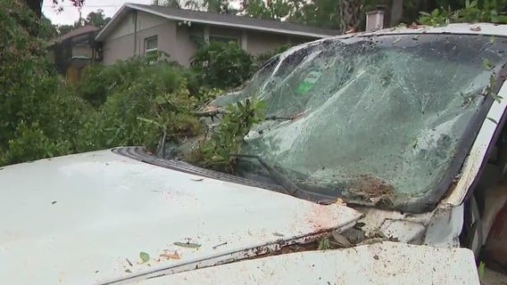Officials: Tree falls on vehicle after lighting strike