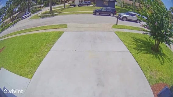 Former Olympic swim coach George Gibney arrested in Florida