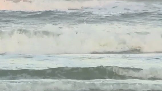 Surfer bitten by shark at Florida beach