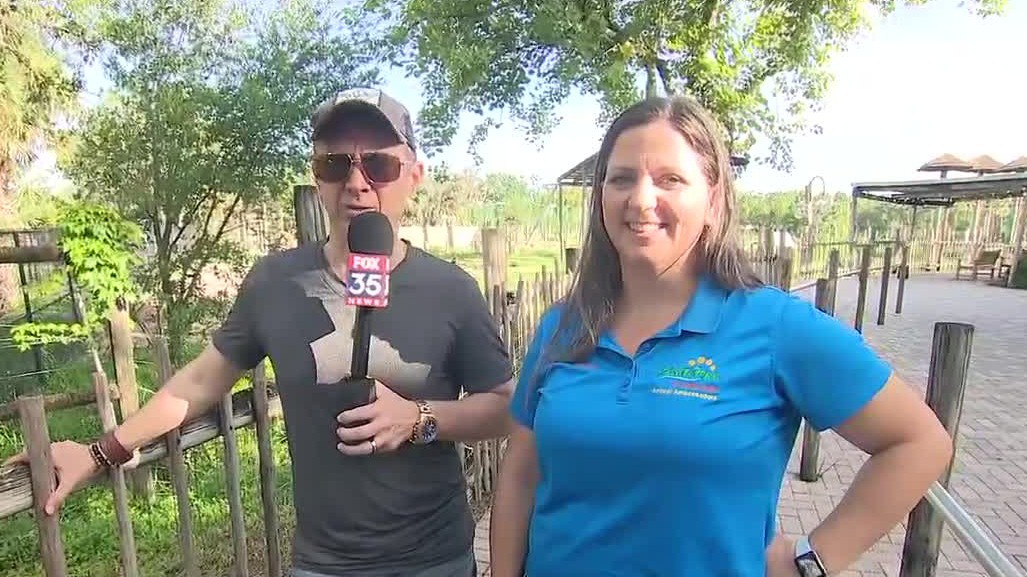 What's new at ZooTampa?