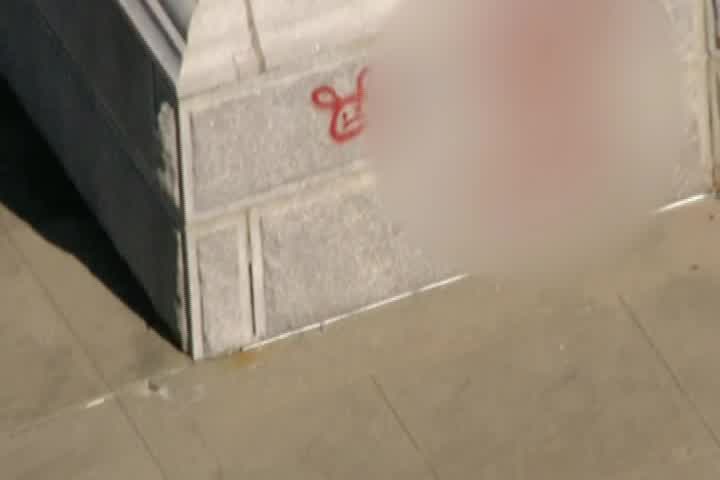 Vandals tag Plymouth Rock with spraypaint