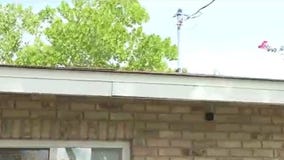 Roof repairs with Habitat For Humanity