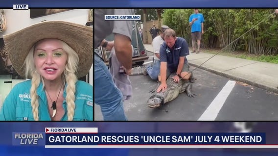 Gatorland rescues 'Uncle Sam' Fourth of July weekend