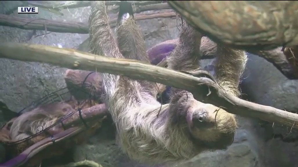 The Rainforest now open at the Daytona Aquarium