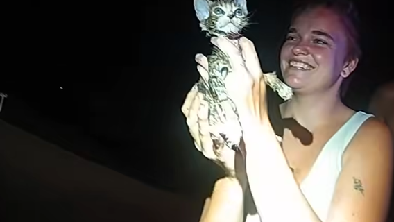 Lee County Sheriff's Office kitten rescue