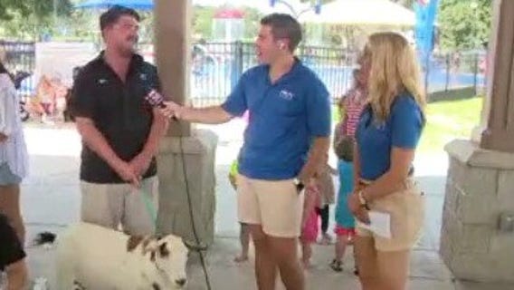 Summer Block Party: Showcase of Citrus