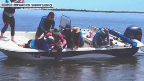 Florida crews help free mother dolphin from fishing line