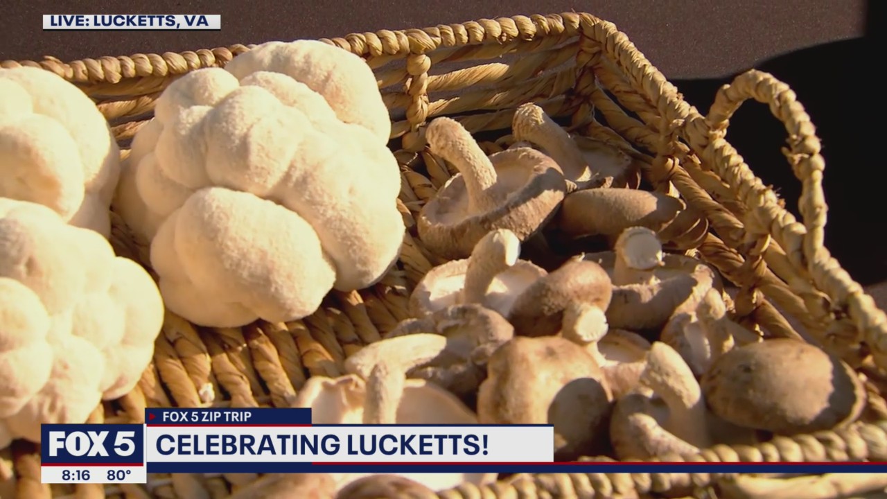 FOX 5 Zip Trip Lucketts: Misty Meadow Mushrooms & Farmer Johns Market
