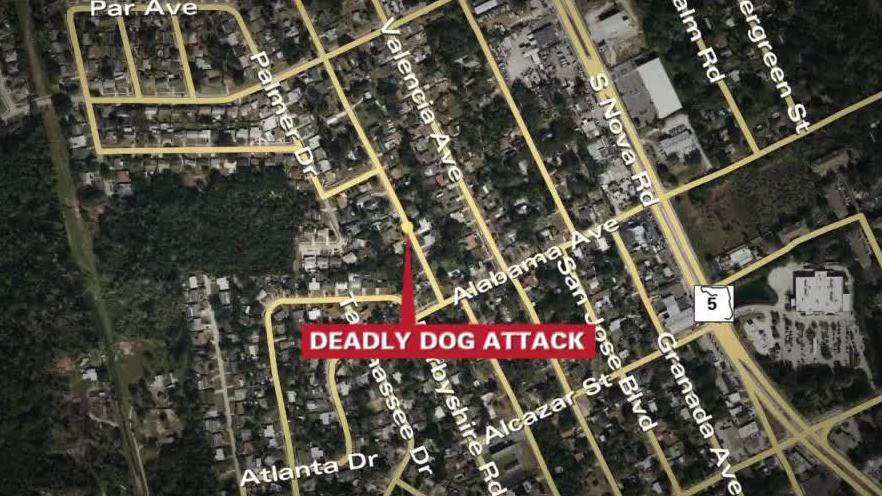 5-month-old baby killed by dog in Volusia County | FOX 35 Orlando