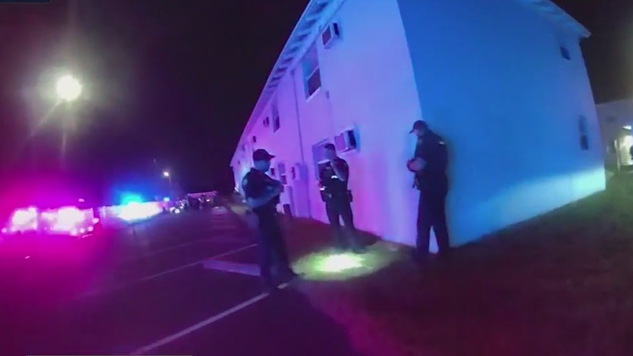 Felon charged after armed carjacking, gunfire incident