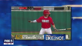 LIKE IT OR NOT: What was your dream job?