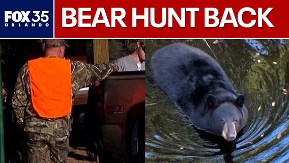 FWC approves Florida Black Bear hunt