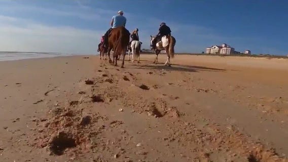 Volusia County considers allowing horseback riding on select beaches