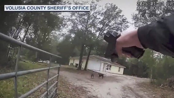 2 Florida women face felony charges after dogs kill boy