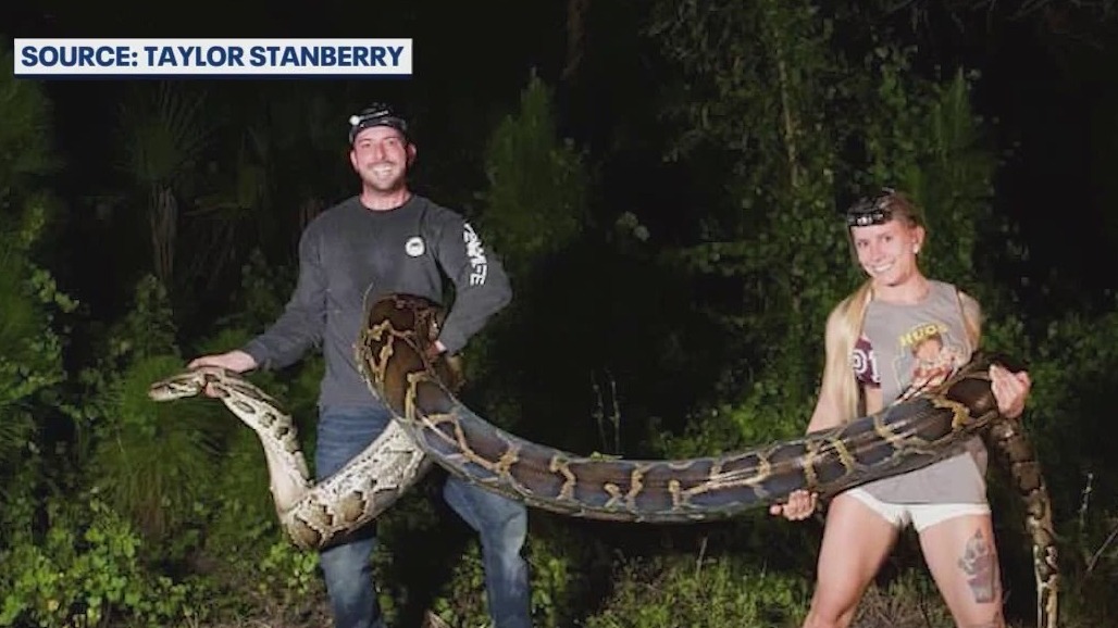 Florida woman wins 2025 Python Challenge after capturing 60 snakes ...