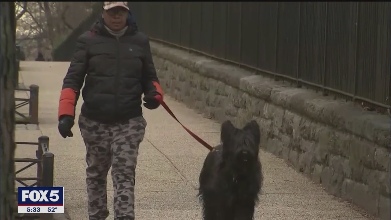 Is coronavirus a threat to your pet?