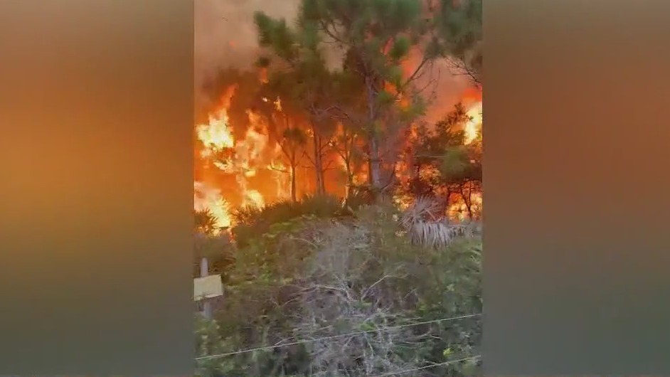 Firefighters battle brush fire near Micco