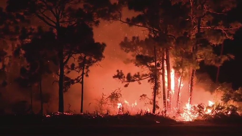 Firefighters battle brush fire in Brevard County near Micco | FOX 51 ...