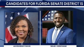 Special election for Orange County on Tuesday