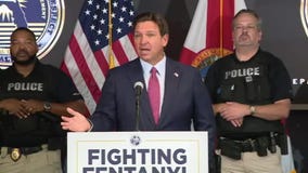 Gov. DeSantis on crosswalk: 'Where is the Pulse memorial?