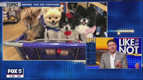 LIKE IT OR NOT: Bringing your dog with you everywhere