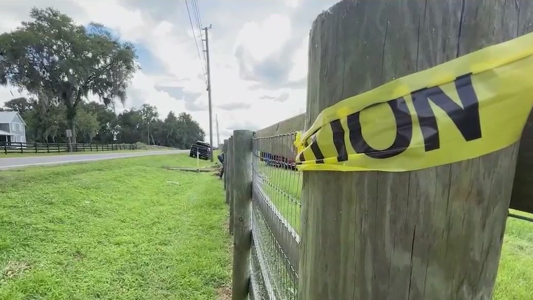 Marion County man detained after shooting involving deputy