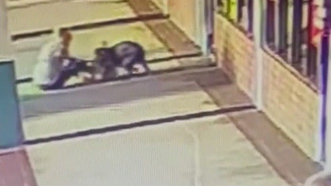 Orlando woman fights off dog to save her terrier