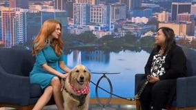 OCSO K9 comforts people during tough times