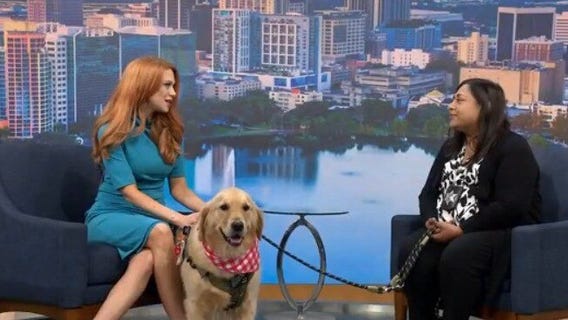 OCSO K9 comforts people during tough times