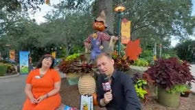 SeaWorld Orlando's Howl-O-Scream