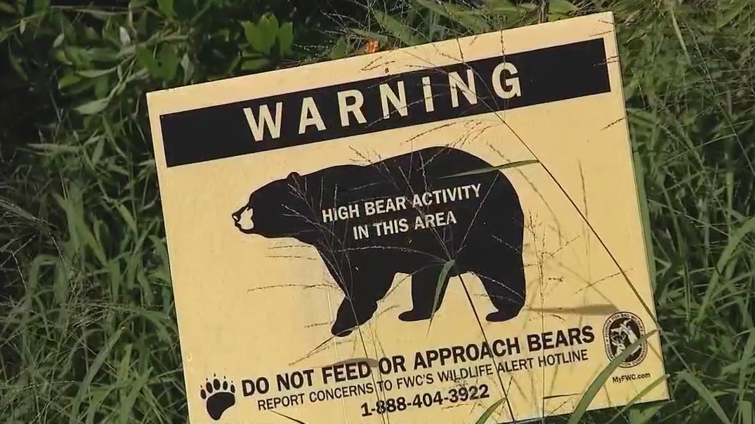 Sanford residents divided over bear sightings in neighborhood
